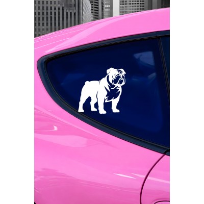 Bulldog Sticker - İngiliz Bulldog Araba Sticker - Köpek Oto Sticker 15x14cm