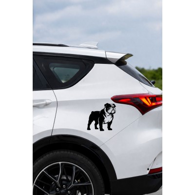 Bulldog Sticker - İngiliz Bulldog Araba Sticker - Köpek Oto Sticker 15x14cm