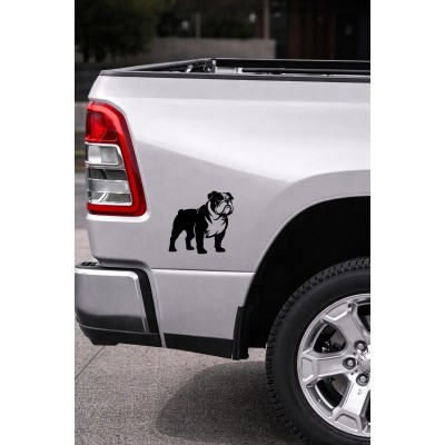 Bulldog Sticker - İngiliz Bulldog Araba Sticker - Köpek Oto Sticker 15x14cm
