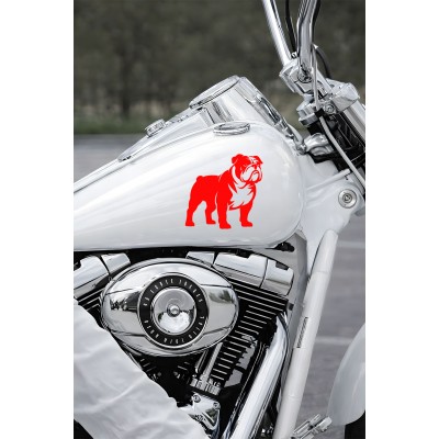 Bulldog Sticker - İngiliz Bulldog Araba Sticker - Köpek Oto Sticker 15x14cm