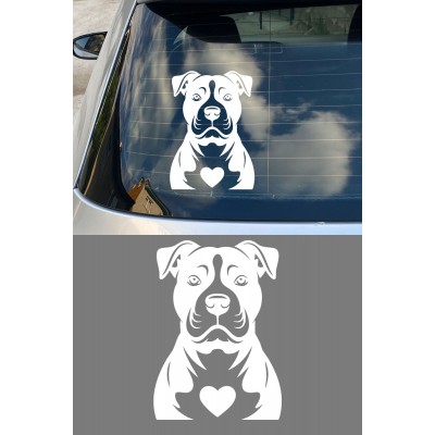 Köpek Sticker – Pitbull Tasarımlı - Araba Oto Motor Sticker 15x11cm