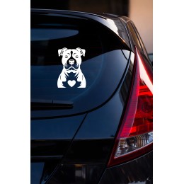 Köpek Sticker – Pitbull Tasarımlı - Araba Oto Motor Sticker 15x11cm