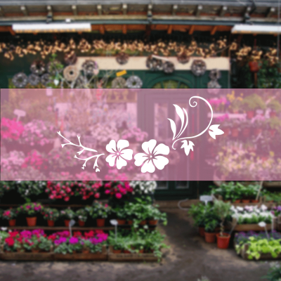 Kişiye Çiçekçilere Özel Yaprak Orkide Sticker Yapıştırma