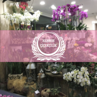 Kişiye Çiçekçilere Yazılı Taç Sticker Yapıştırma