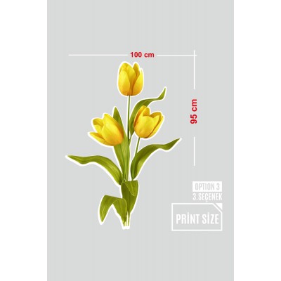 Sarı Renk Üçlü Lale Renkli Çiçekler Vitrin Tacı Mağaza Vitrin Cam Stickerı