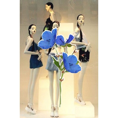 Bohem Mavi Renk Vitrin Tacı ve Mağaza Vitrin Cam Stickerı