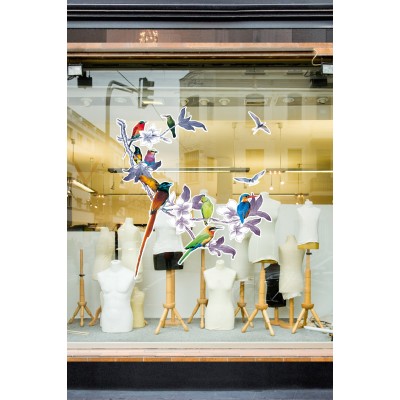 Çiçekli Ağaç Dallının Üstünde Renkli Kuşlar Mağaza Vitrin Cam Stickerı