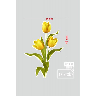 Sarı Renk Üçlü Lale Renkli Çiçekler Vitrin Tacı Mağaza Vitrin Cam Stickerı