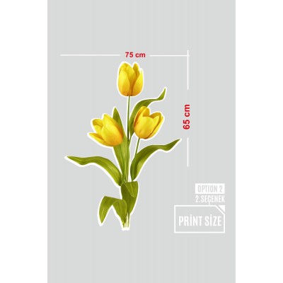 Sarı Renk Üçlü Lale Renkli Çiçekler Vitrin Tacı Mağaza Vitrin Cam Stickerı