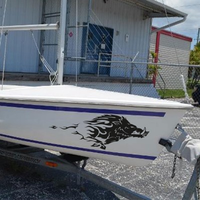 Yaban Domuzu Tekne Sticker, Vinil Sticker, Tekne Sticker 