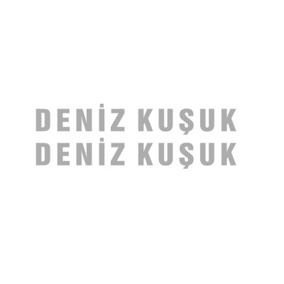 Kişiye Tekneye Yatlara Özel Deniz Kuşuk  Yazısı Sticker Yapıştırma 