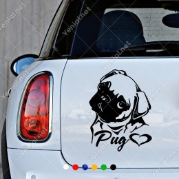 Başı Eğik Duran Pug Köpek Etiket Sticker Yapıştırma