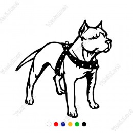 Boynundan ve Belinden Bağlı Bulldog Etiket Sticker Yapıştırma