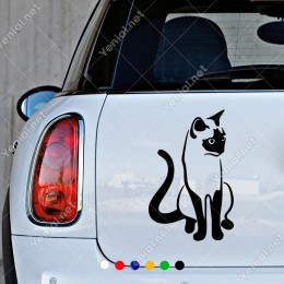Evcil Siyam Kedisi Sağa Doğru Bakan Kedi Pisi Sticker
