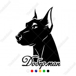 Kulakları Dik Olan Dikkatli Doberman Köpek Sticker