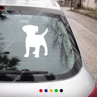 Minik Golden Köpek Sticker Yapıştırma Etiket