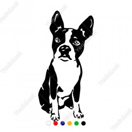 Oturan Boston Terrier Sticker Yapıştırma Etiket