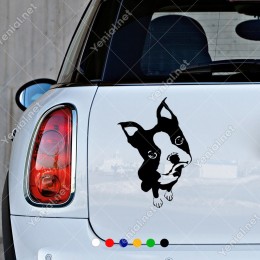 Sevimli Boston Terrier Sticker Yapıştırma Etiket