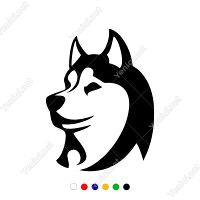 Sevimli Sibirya Kurdu Araç Araba Duvar Sticker